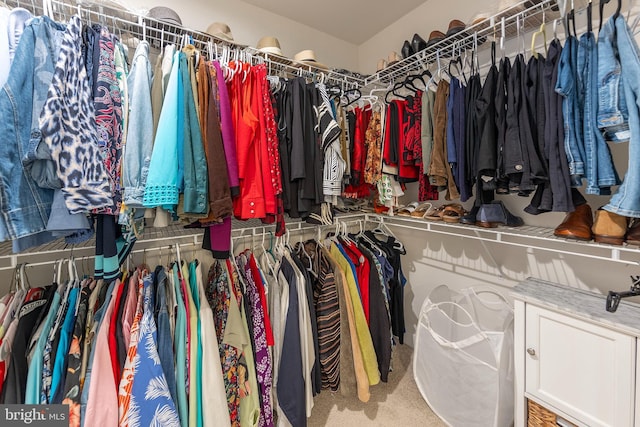 spacious closet featuring carpet floors