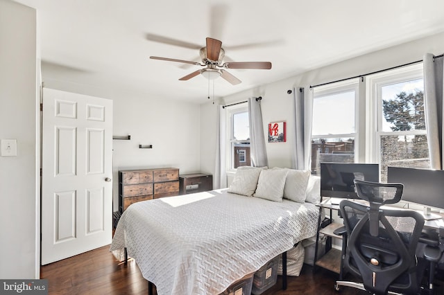 bedroom with ceiling fan, dark wood-type flooring, and multiple windows