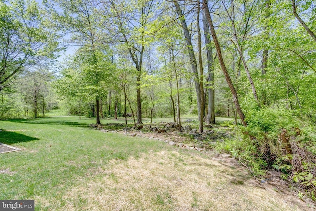 view of yard featuring a wooded view