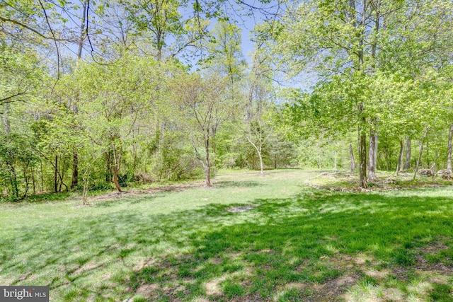 view of yard featuring a wooded view