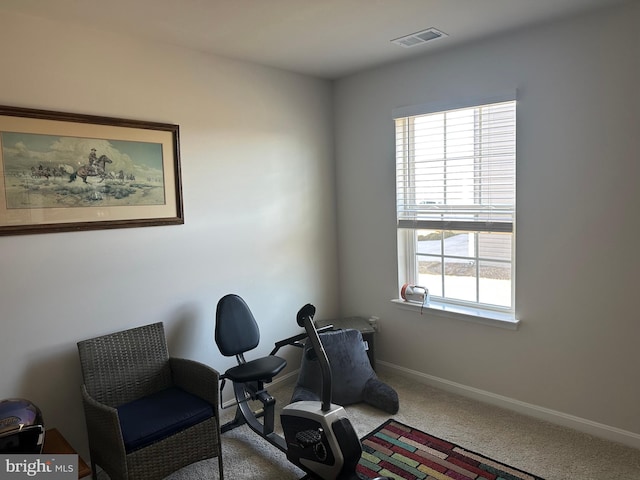 interior space with carpet floors, visible vents, and baseboards