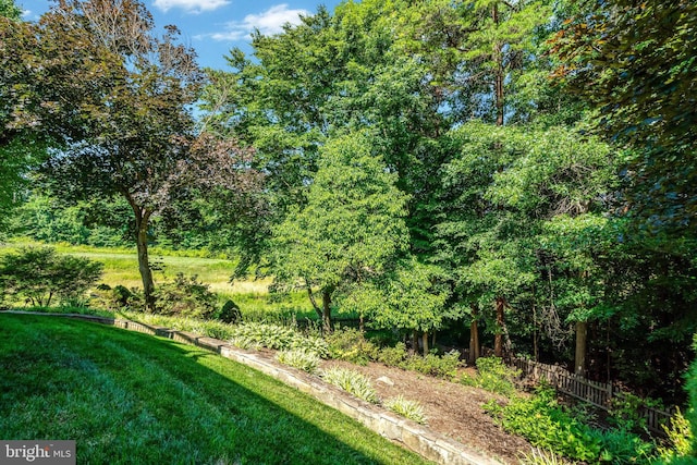 view of yard featuring fence