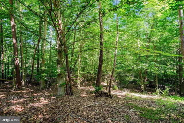 view of nature featuring a view of trees