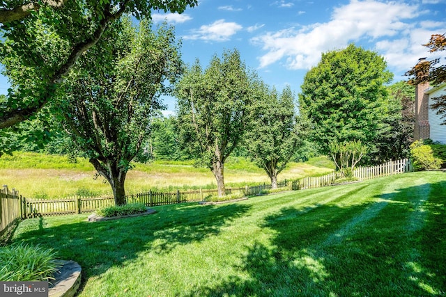 view of yard featuring a fenced backyard