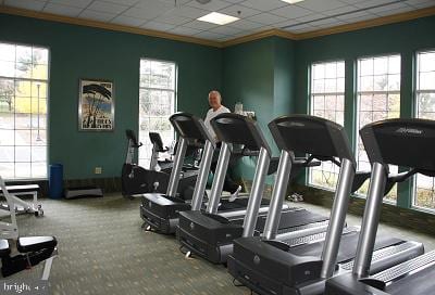 exercise room featuring carpet floors, a paneled ceiling, and crown molding