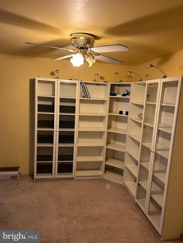 storage with a ceiling fan