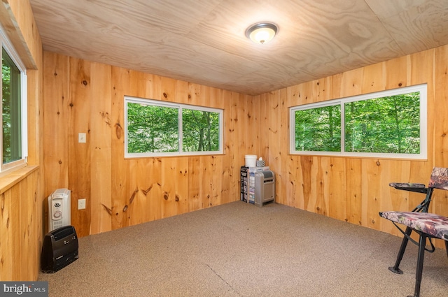 spare room with plenty of natural light, carpet, and wooden walls