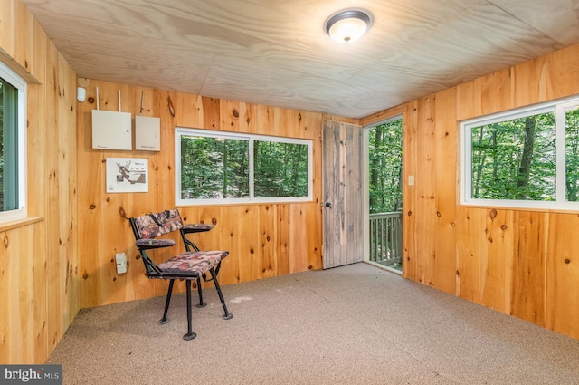 sitting room with carpet flooring and wooden walls