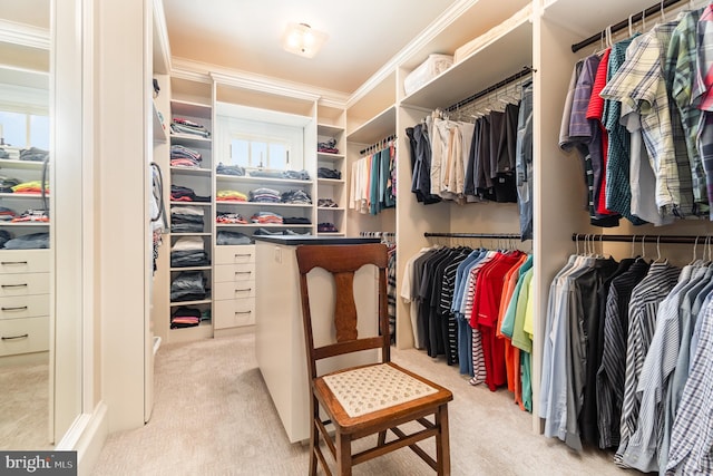 walk in closet with light carpet