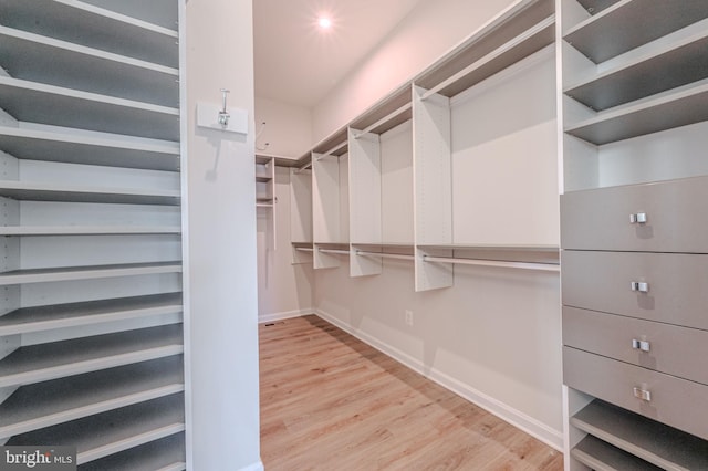 walk in closet with wood finished floors