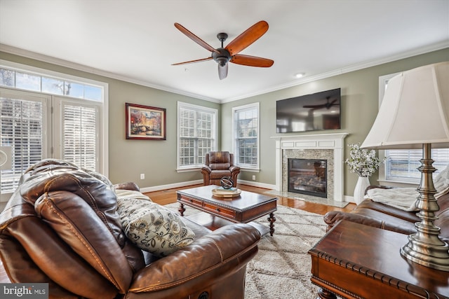 living room with a fireplace, wood finished floors, and crown molding