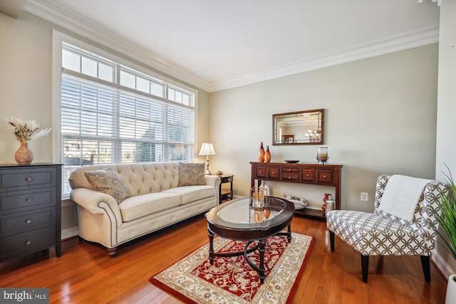 living area featuring wood-type flooring and crown molding