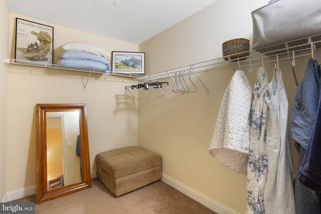 walk in closet with carpet floors