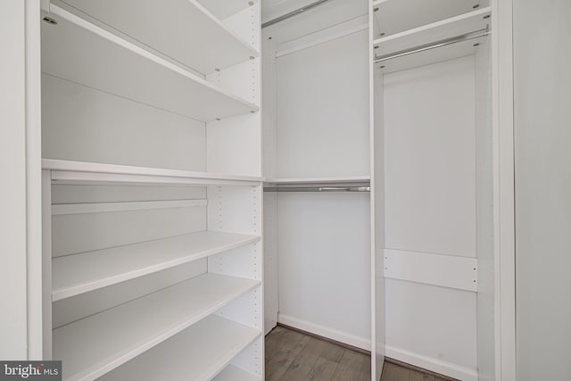 spacious closet featuring wood finished floors