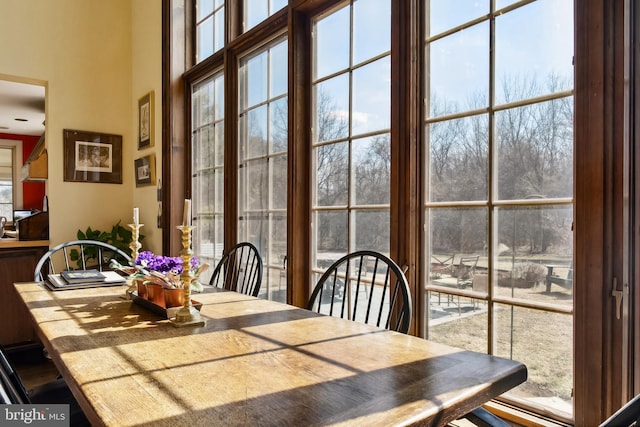 dining room featuring a high ceiling