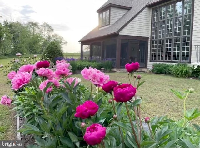 view of yard with a sunroom