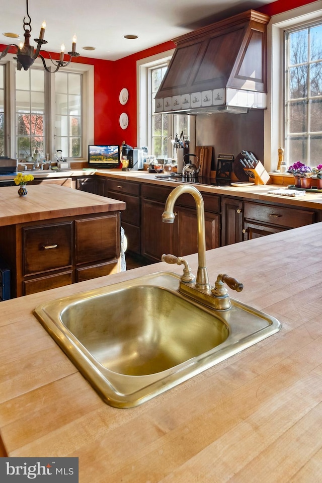 kitchen featuring a wealth of natural light, butcher block counters, custom range hood, and a sink