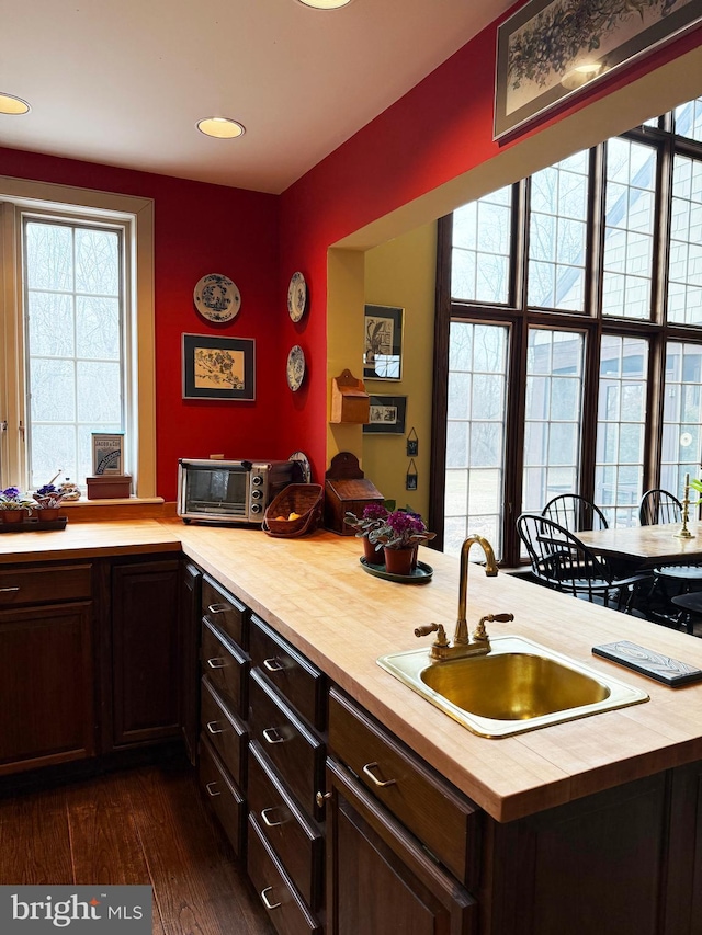 kitchen featuring dark brown cabinetry, a toaster, dark wood finished floors, wood counters, and a sink