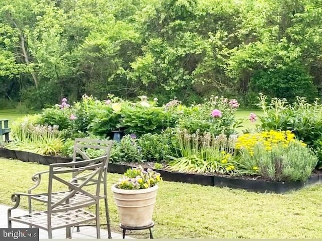 view of home's community featuring a lawn