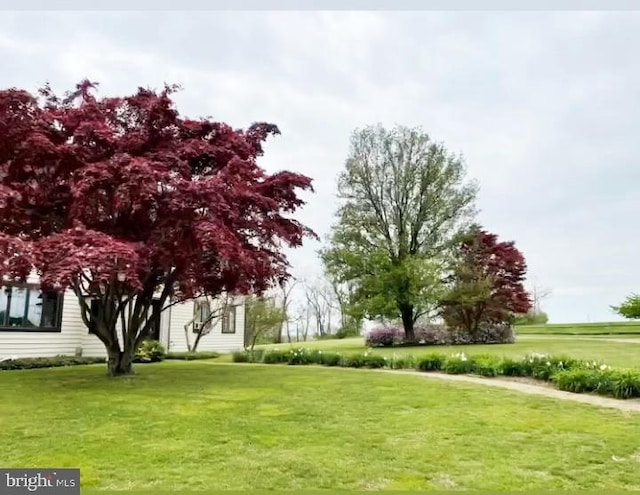 view of home's community featuring a yard