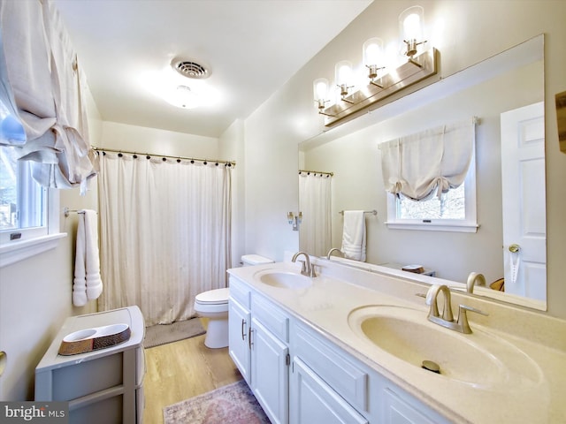 bathroom with a sink, toilet, and a healthy amount of sunlight