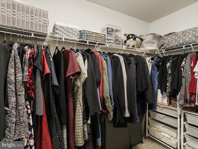 walk in closet with carpet