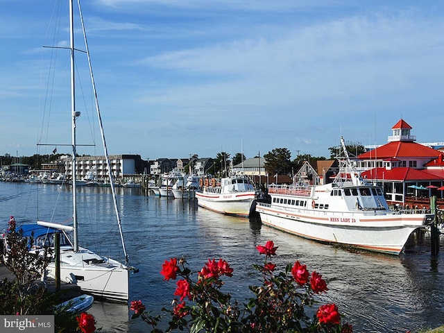 view of dock featuring a water view