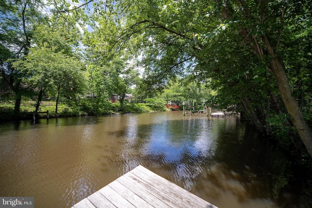 dock area with a water view