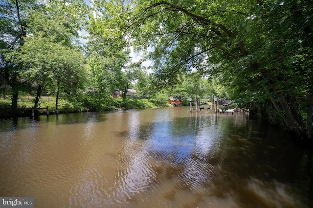 water view featuring a boat dock
