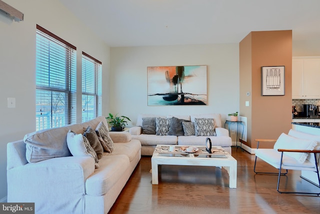 living room with baseboards and wood finished floors