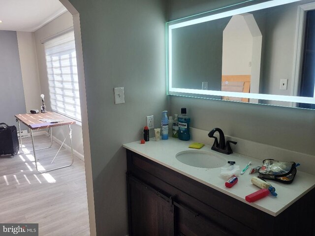 bathroom featuring wood finished floors, vanity, and baseboards