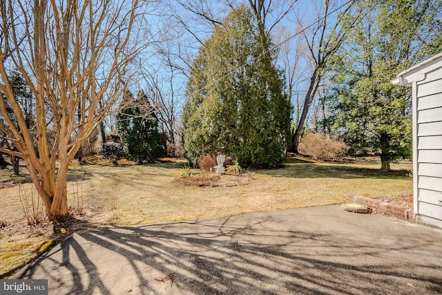 view of yard featuring a patio