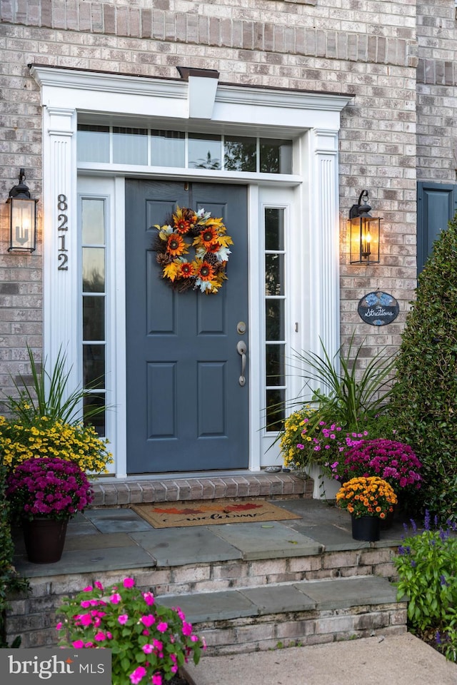 doorway to property featuring brick siding