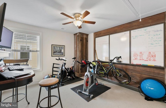 workout room featuring carpet flooring, attic access, visible vents, and a ceiling fan