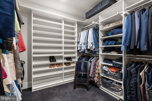 spacious closet featuring carpet flooring