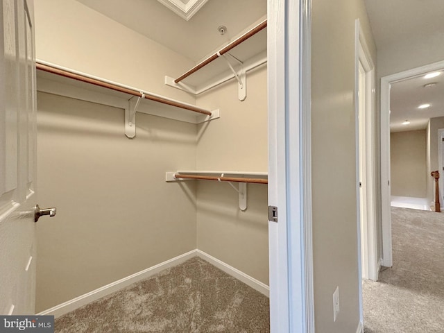 spacious closet featuring carpet flooring