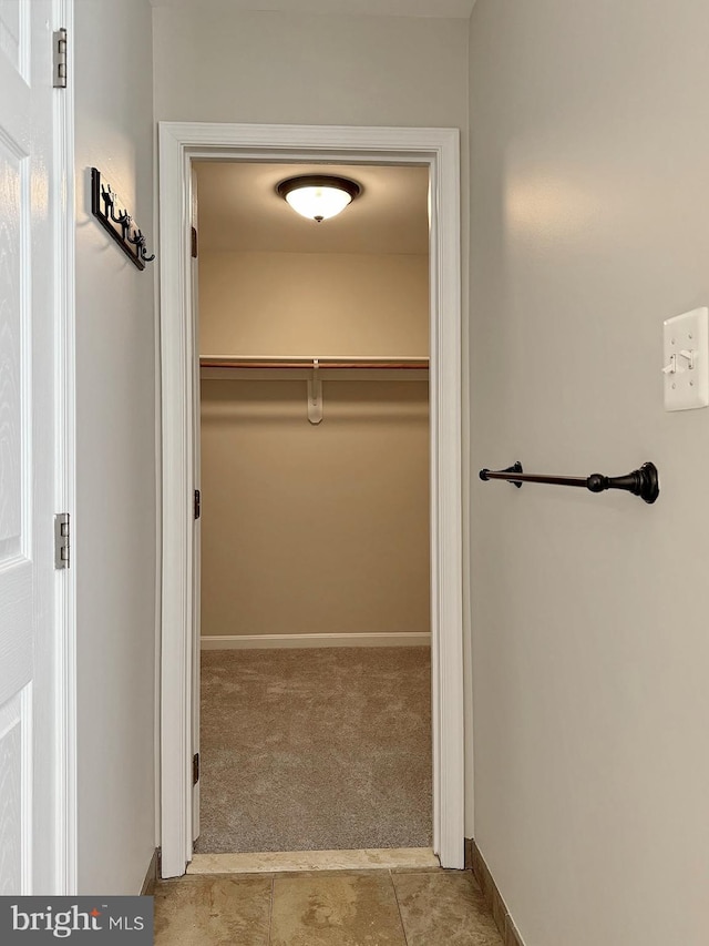 spacious closet with carpet floors