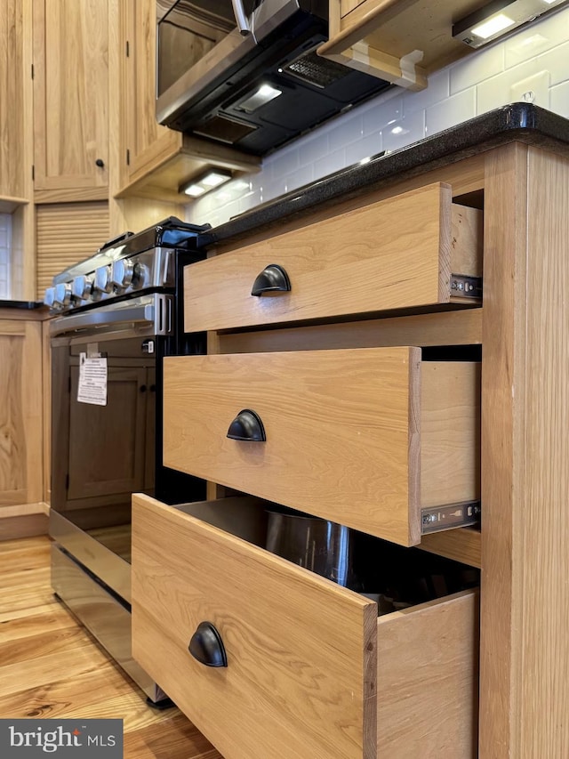 interior details featuring dark countertops, stainless steel appliances, tasteful backsplash, and light wood-style floors