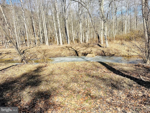 view of yard featuring a forest view