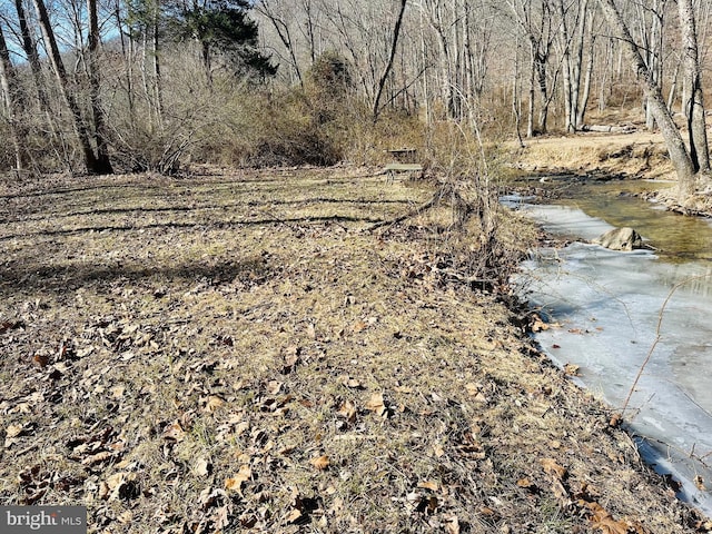 view of nature featuring a wooded view