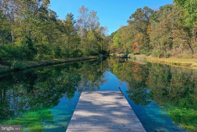 dock area with a water view