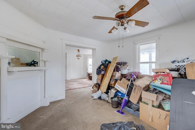 interior space featuring a healthy amount of sunlight, a ceiling fan, and carpet flooring