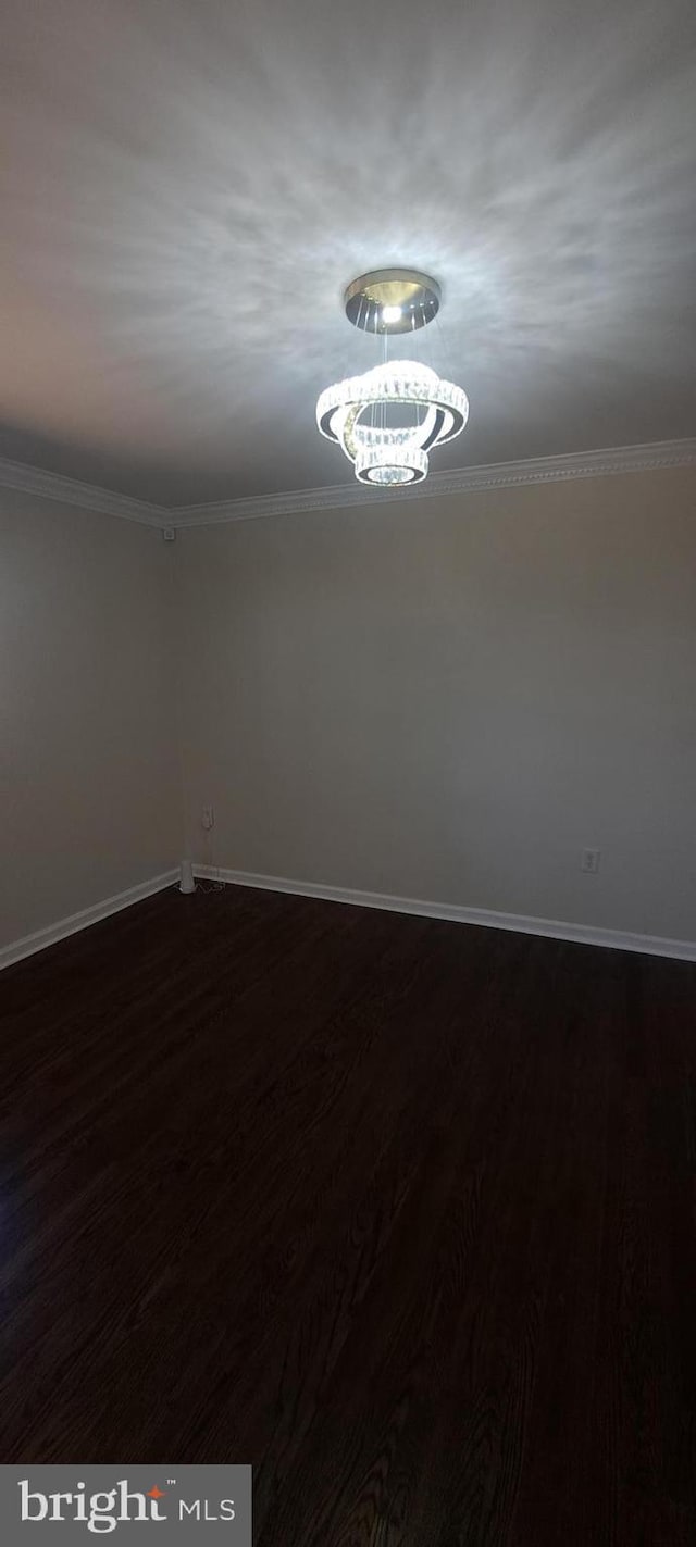 spare room featuring dark wood-style floors, crown molding, and baseboards