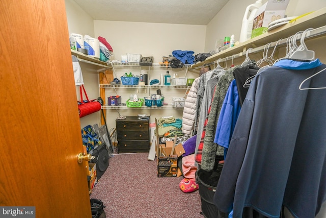 spacious closet featuring carpet floors