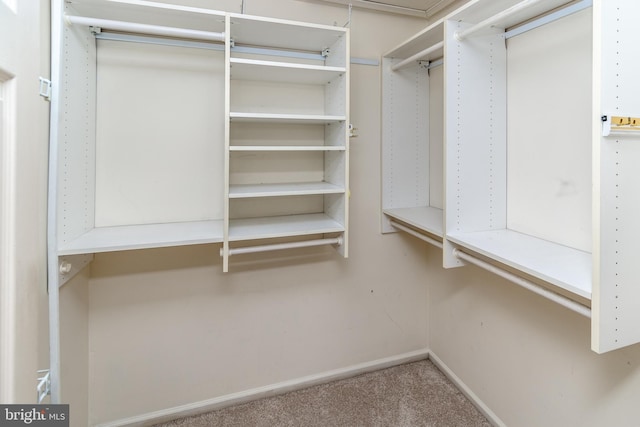 walk in closet featuring carpet