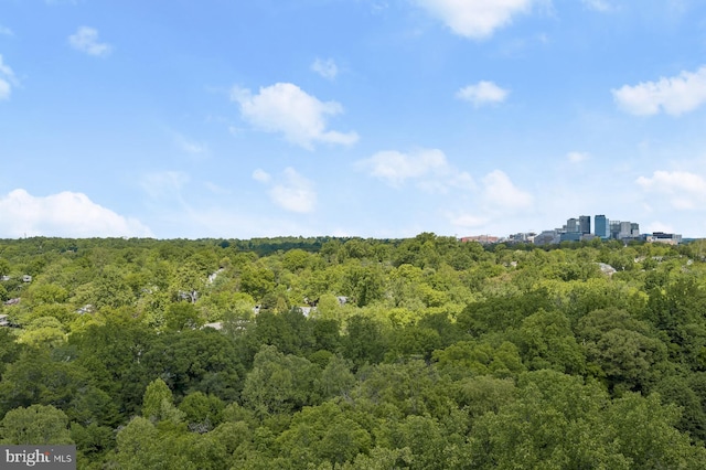 view of nature featuring a wooded view