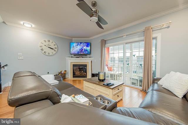 living room featuring a fireplace with flush hearth, crown molding, light wood finished floors, and a ceiling fan