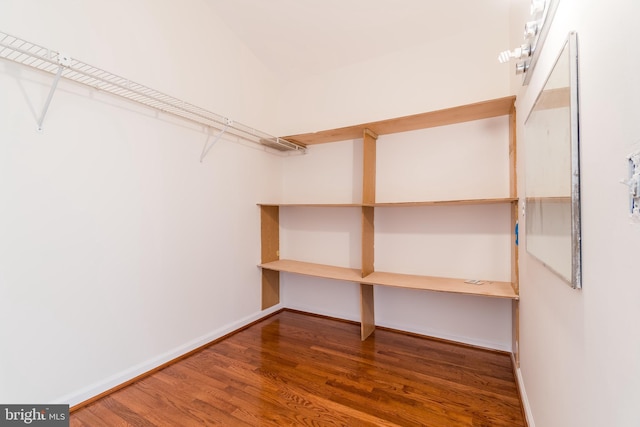 spacious closet featuring wood finished floors