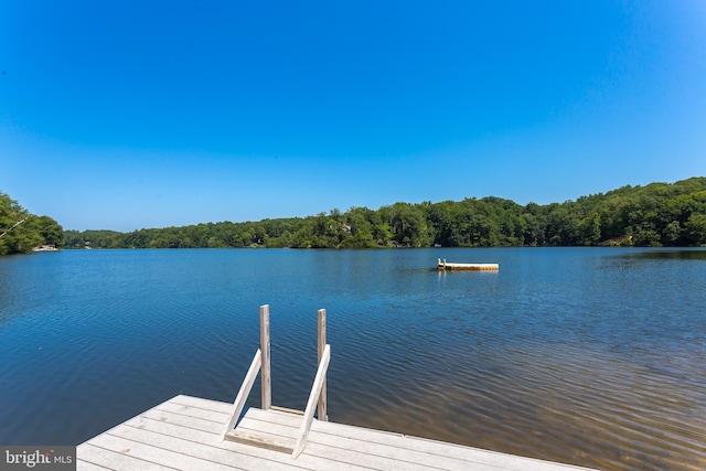 view of dock featuring a view of trees and a water view