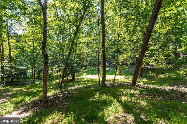 view of nature with a forest view